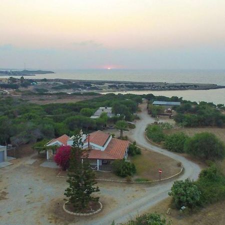 Balci Plaza Hotel And Balci Plaza Guest Bungalows Karpaz Peninsula Selenias 외부 사진
