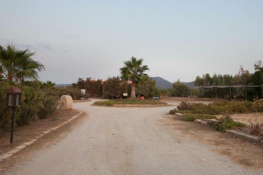 Balci Plaza Hotel And Balci Plaza Guest Bungalows Karpaz Peninsula Selenias 외부 사진
