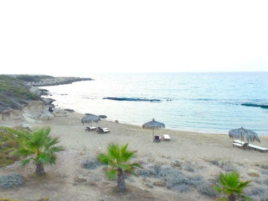 Balci Plaza Hotel And Balci Plaza Guest Bungalows Karpaz Peninsula Selenias 외부 사진